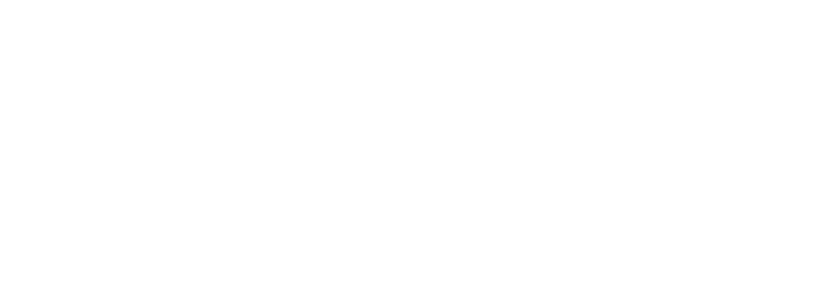 logo-velzia